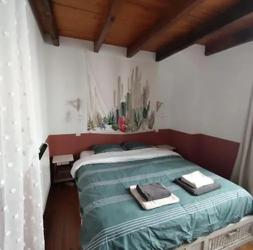 Maison Cosy En Hyper-centre Agen